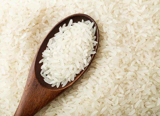 Presidente decidirá sobre leilão do arroz, diz ministro