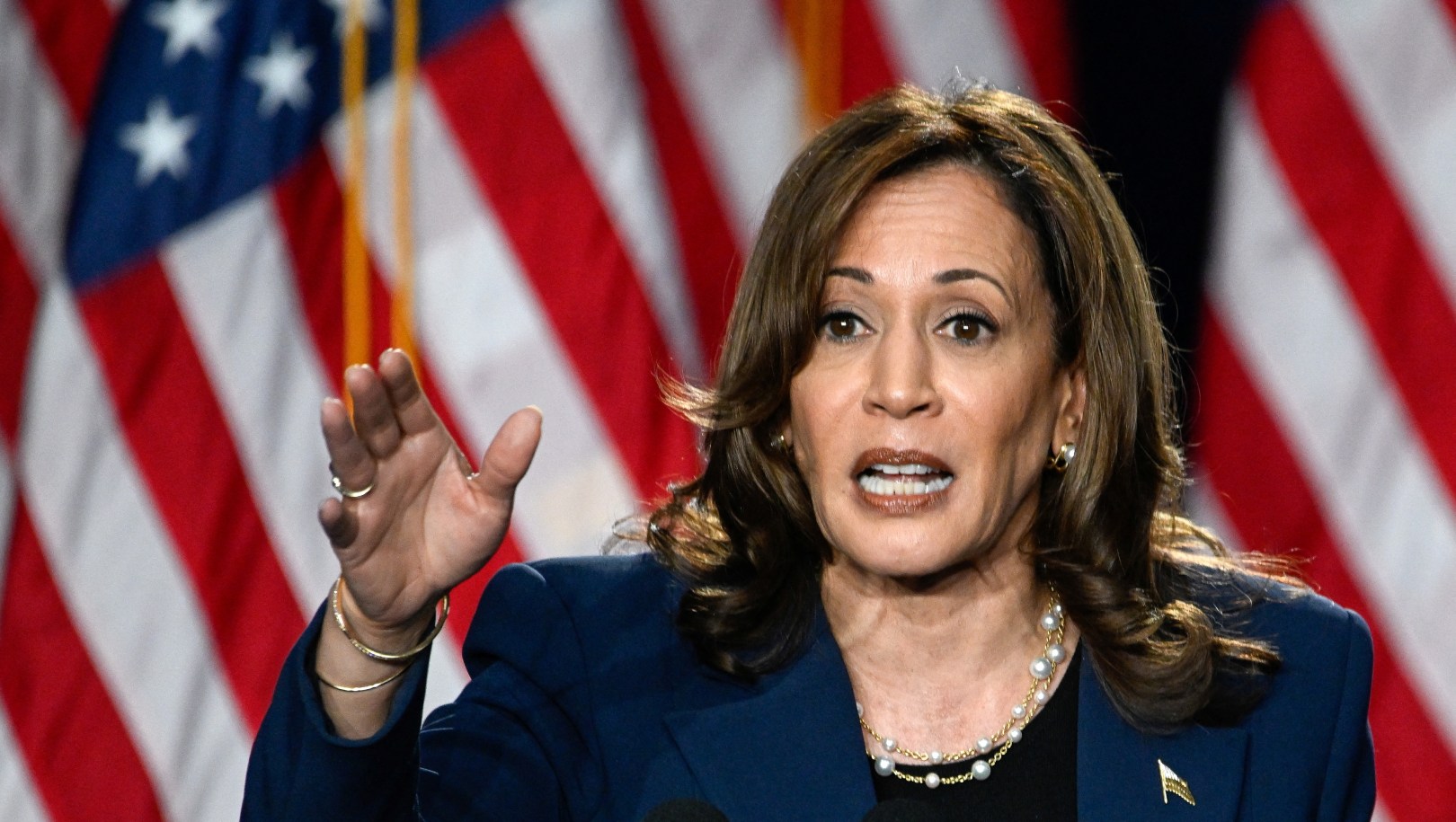 U.S. Vice President Kamala Harris delivers remarks during a campaign event at West Allis Central High School, in West Allis, Wisconsin, U.S., July 23, 2024. REUTERS/Vincent Alban