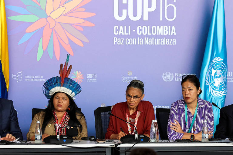 Negociação sobre Financiamento Ambiental Travada na COP16 Levanta Alerta para Conferência do Clima