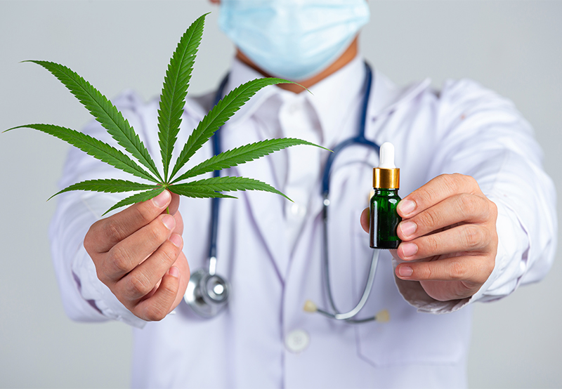 Cannabis medicinal: o julgamento que pode movimentar mercado bilionário