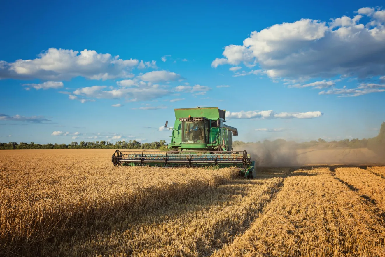 Safra agrícola deve aumentar entre 8% e 10% em 2025, segundo Conab e IBGE