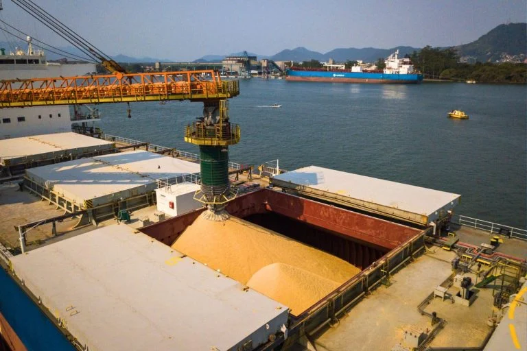 China Suspende Embarques de Soja de 5 Empresas Brasileiras
