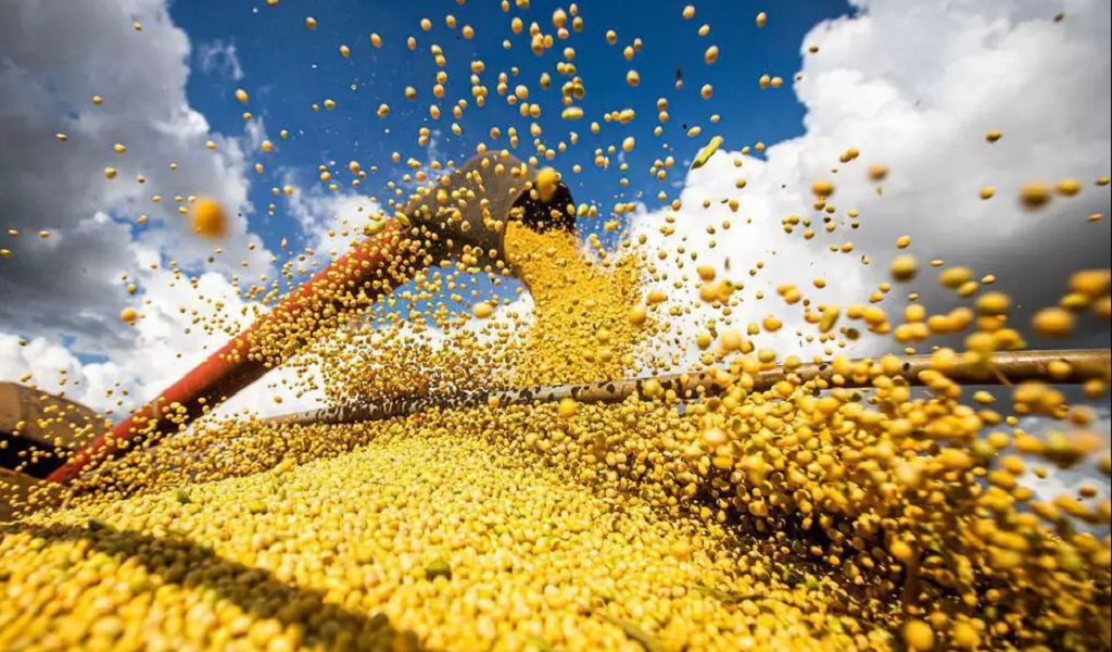 Crédito do BNDES para Plano Safra se aproxima de R$ 30 bilhões