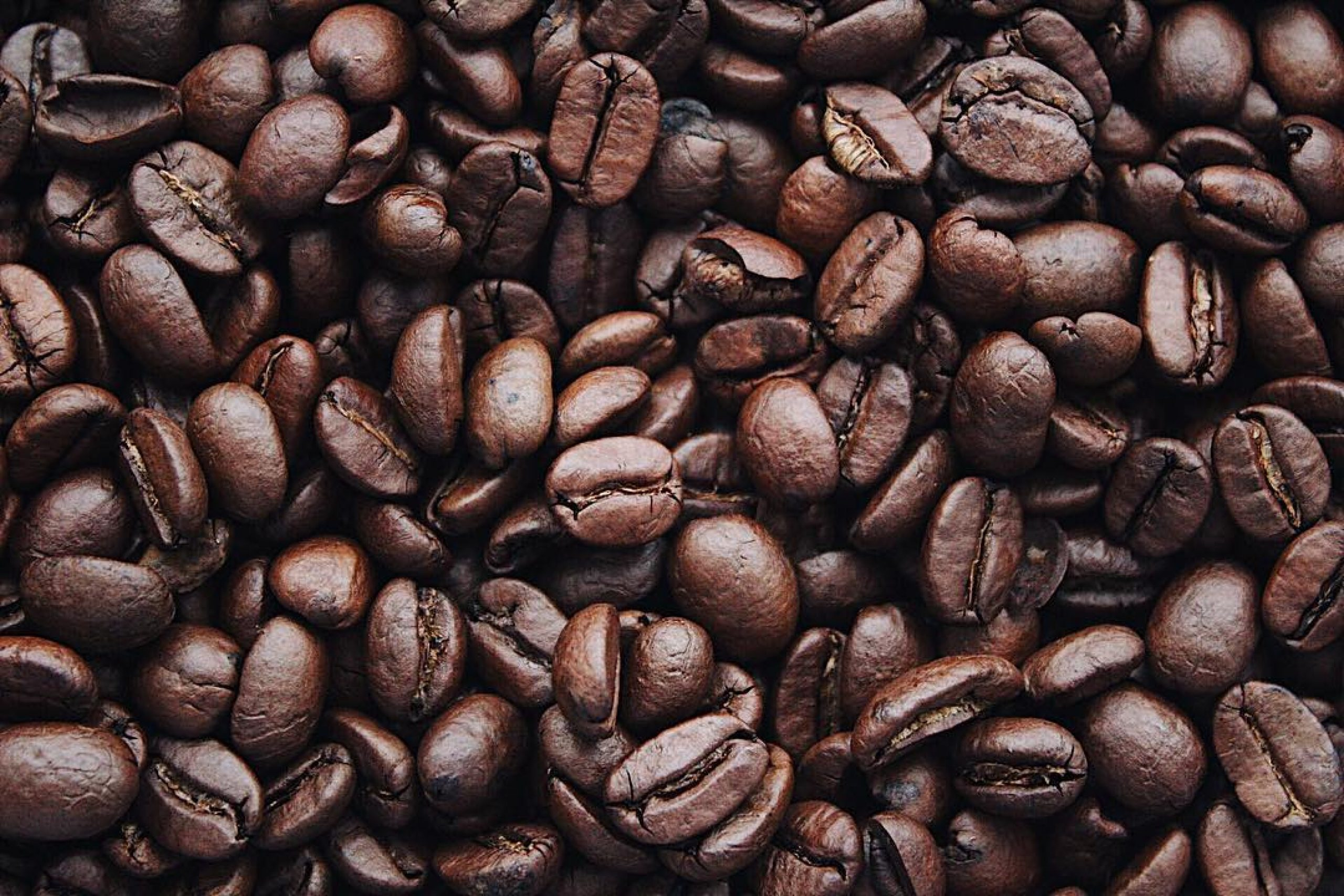 Preços do café despencam na manhã desta 6ª feira (13) com avanço da colheita no Brasil