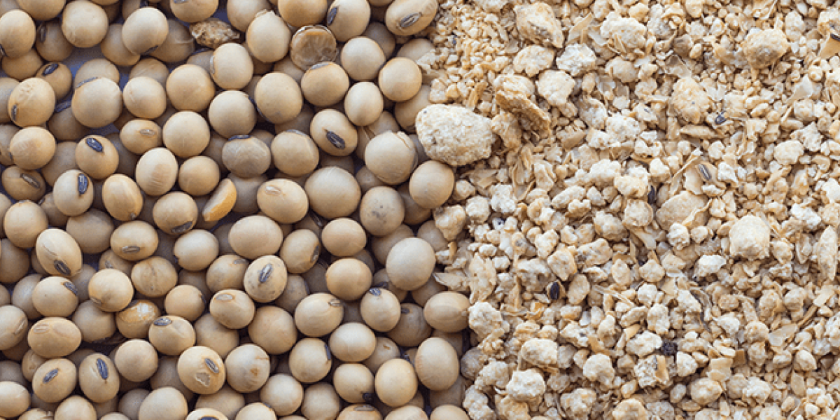 Soja registra alta superior a 1% em Chicago em dia de valorização das commodities agrícolas