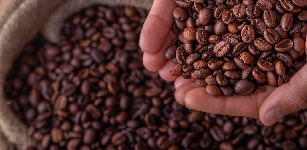 Tarifaço, mudanças climáticas e safra menor no Brasil elevam preços do café, diz OIC