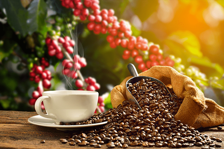 Café Brasileiro Pode Ser Excluído de Tarifas de Importação