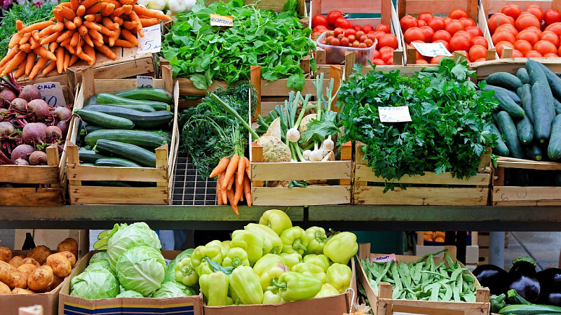 Exportações de alimentos caem em agosto por causa de tarifaço dos EUA