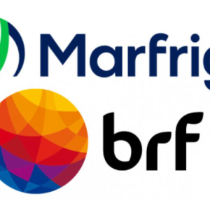 Por que CVM adiou a assembleia convocada para votação de fusão entre Marfrig e BRF?