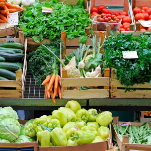 Exportações de alimentos caem em agosto por causa de tarifaço dos EUA