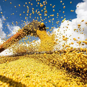 Crédito do BNDES para Plano Safra se aproxima de R$ 30 bilhões