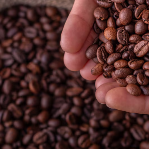Tarifaço, mudanças climáticas e safra menor no Brasil elevam preços do café, diz OIC