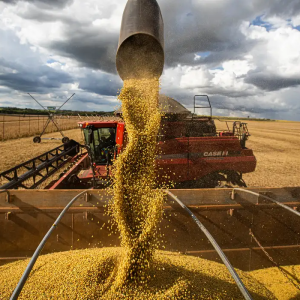 Queda no preço dos alimentos vai permanecer, diz ministro