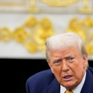 Proposta de Trump para obter receitas de Nvidia e AMD ameaça criar “mundo perigoso”